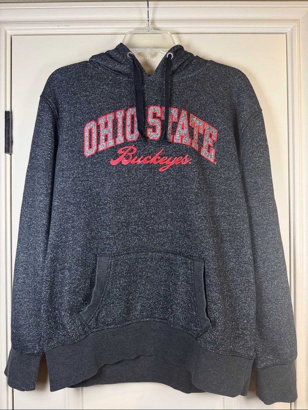 Ohio State Buckeyes Sparkly Gray, Silver, and Red Hooded Sweatshirt